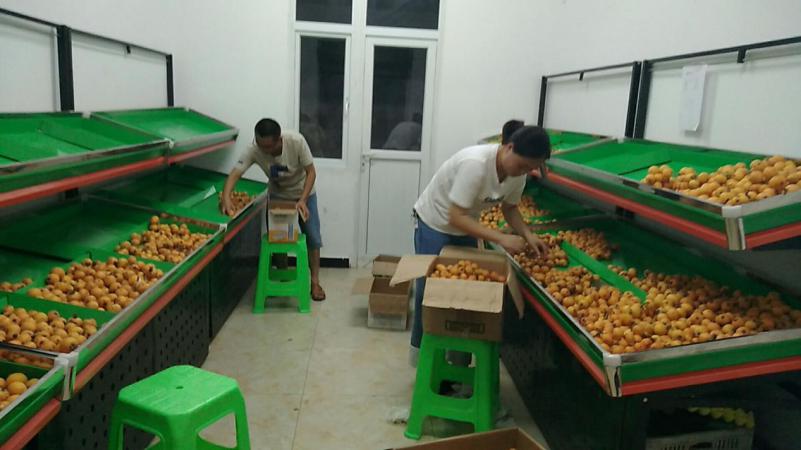 马史洛村第一书记和上田坝乡副书记将枇杷运到金沙威尼斯欢乐娱人城,并整理上架